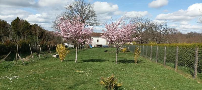 Maison - 75 m² - 3 pièces