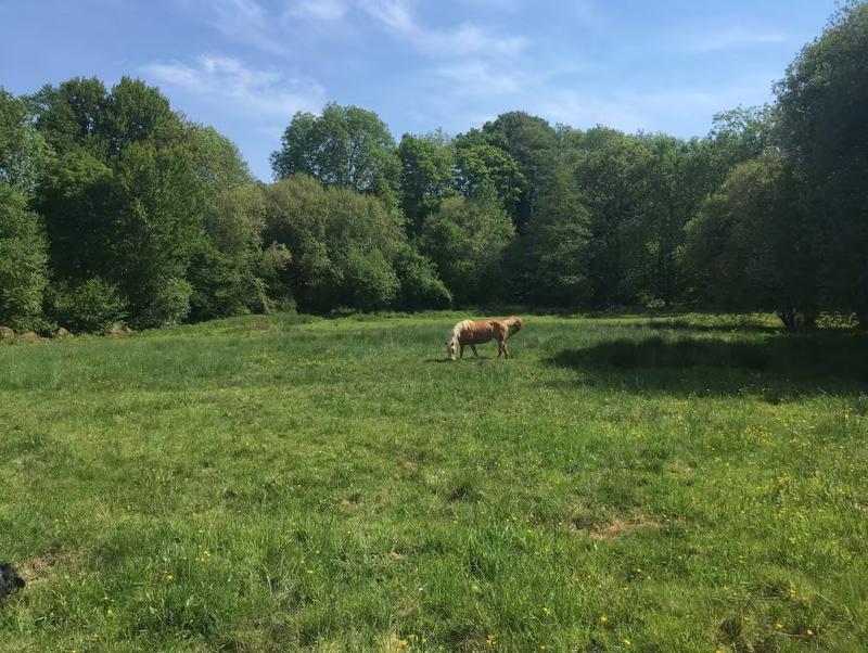 Maison ancienne - 200 m² - 10 pièces