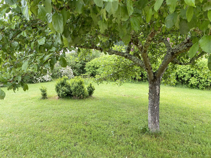 Maison - 226 m² - 6 pièces