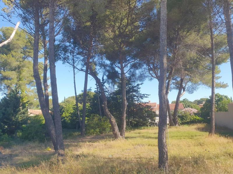 Maison - 126 m² - 5 pièces