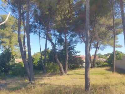 Maison - 126 m² - 5 pièces