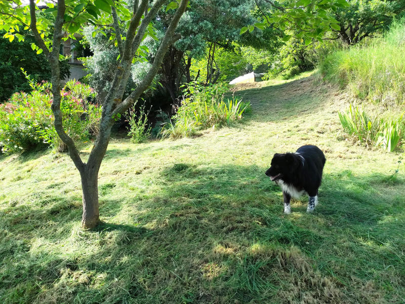 Ferme - 100 m² - 5 pièces