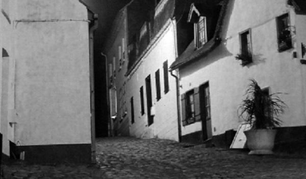 Exposition de Jean-Louis Saelens