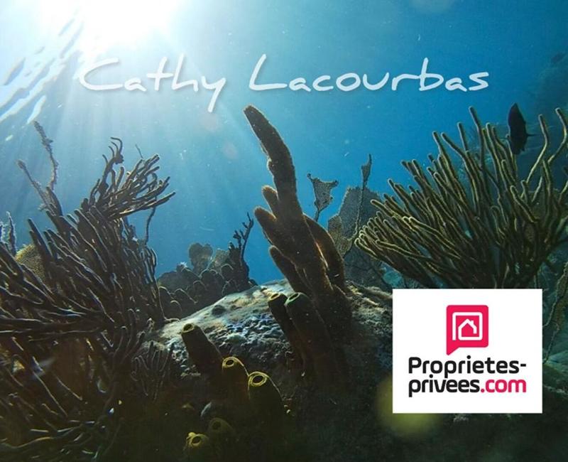 Propriété - 400 m² - 20 pièces