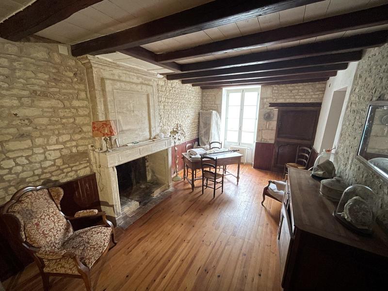 Viager - Maison ancienne - 550 m² - 12 pièces