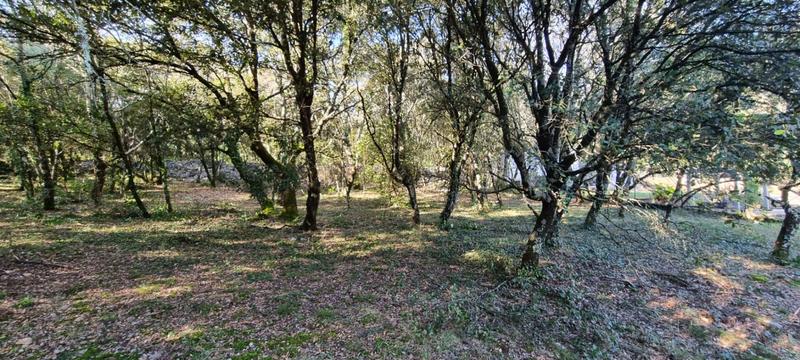 Terrain constructible - 1 840 m²