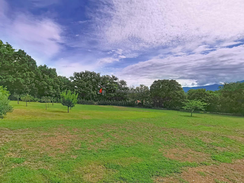 Maison traditionnelle - 248 m² - 7 pièces