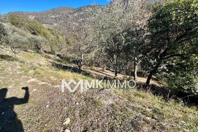Terrain - 1 403 m²