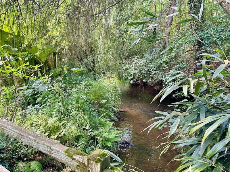 Propriété - 240 m² - 8 pièces