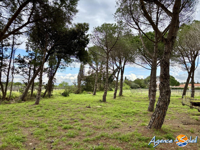 Villa - 130 m² - 4 pièces