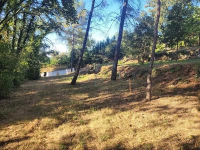 Terrain constructible - 3 200 m²
