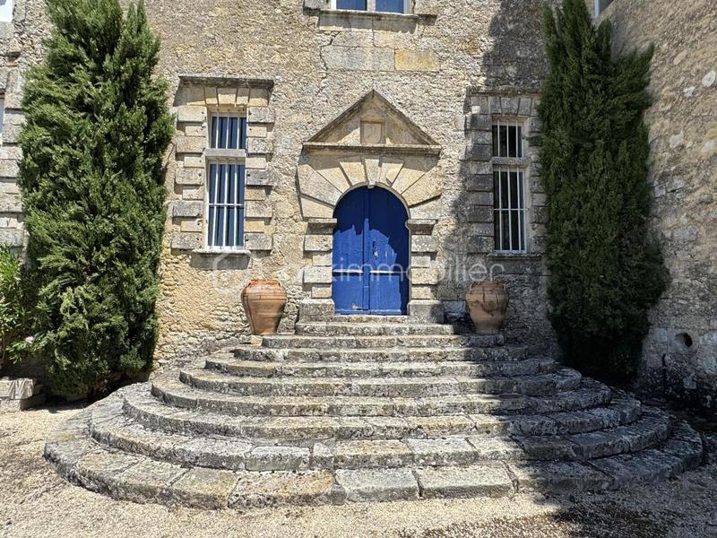 Château - 575 m² - 13 pièces