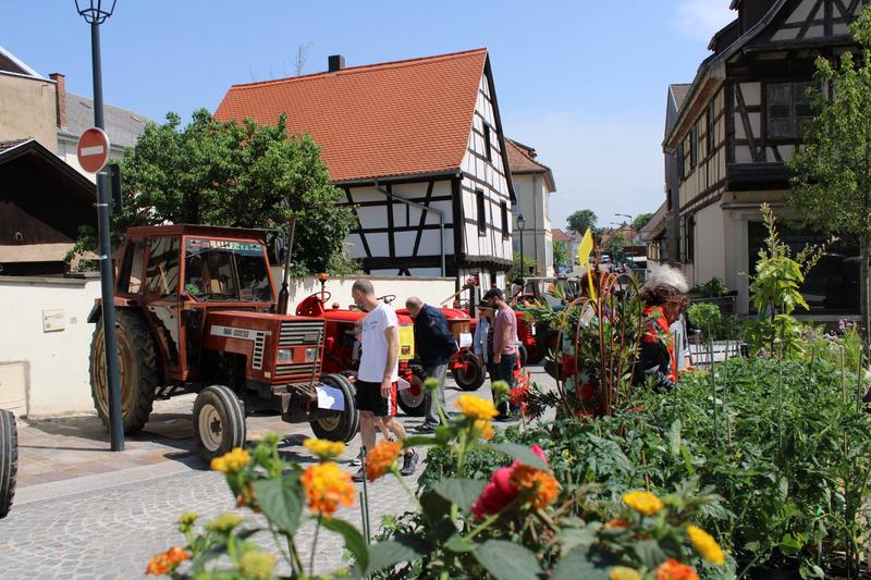 Erstein, un parfum de printemps