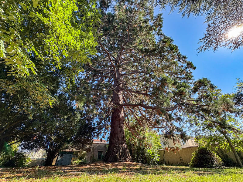 Propriété - 170 m² - 6 pièces