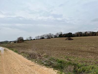 Terrain agricole - 21 777 m²