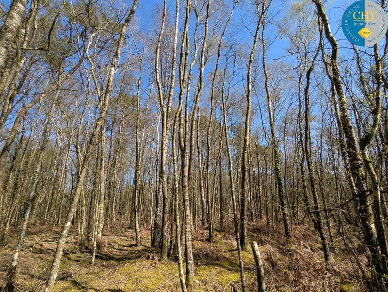 Terrain - 24 900 m²