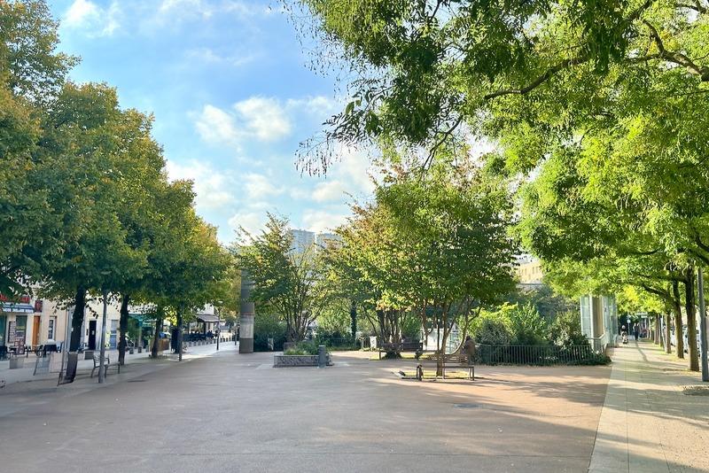 Appartement - 50 m² - 3 pièces