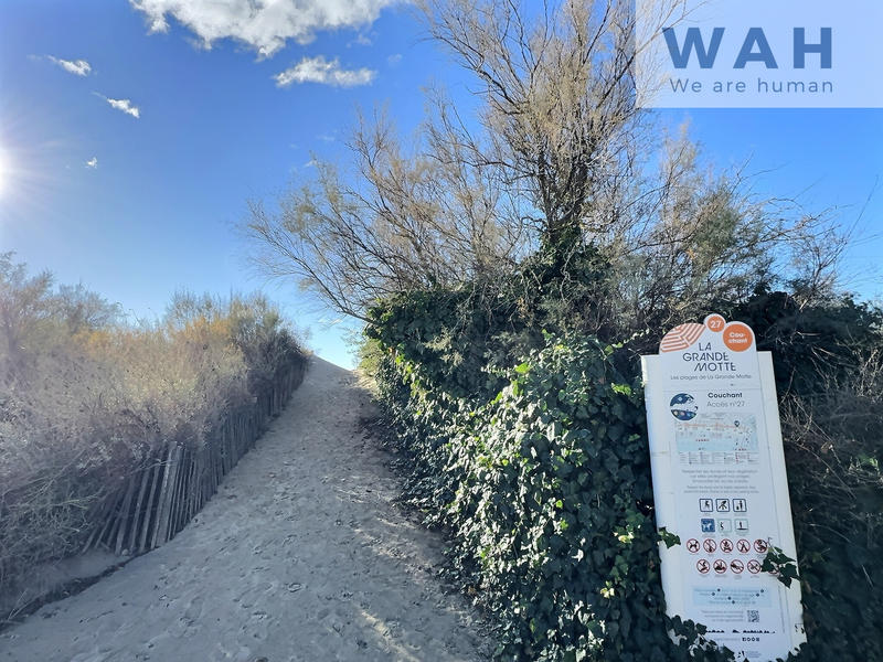 Appartement - 23 m² - 1 pièce