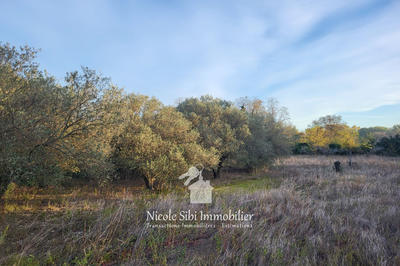 Terrain agricole - 3 300 m²