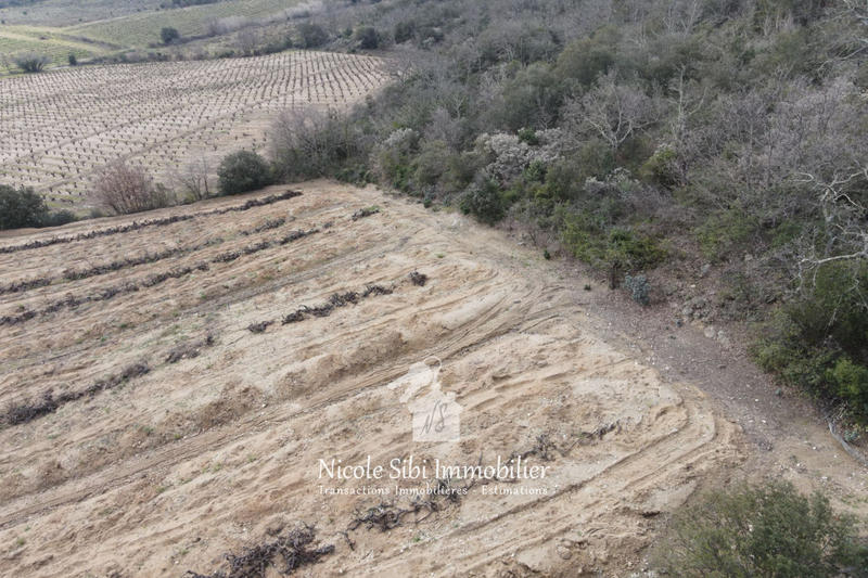 Terrain agricole - 7 731 m²