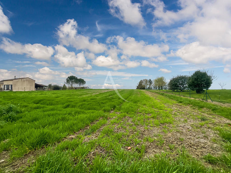 Terrain - 11 886 m²