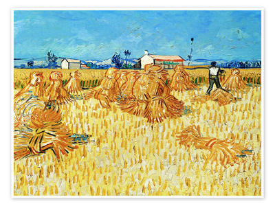 Conférence Van Gogh en Provence