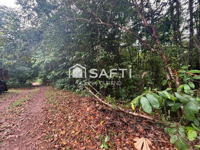 Terrain agricole - 21 855 m²