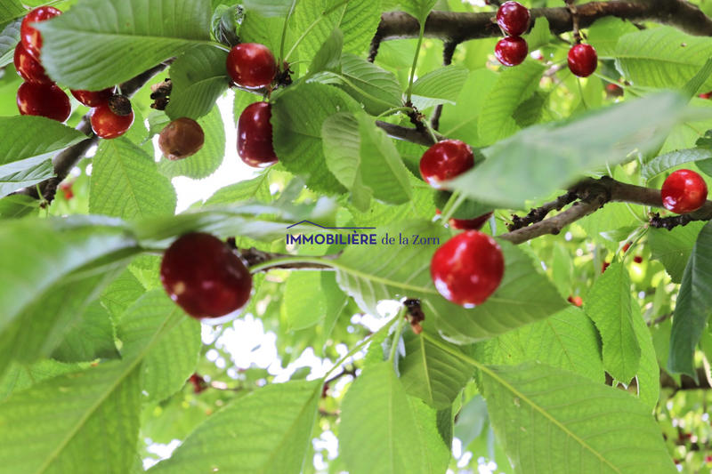 Maison - 186 m² - 5 pièces