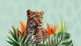 Salon Passion voyage (Espace des trois provinces)