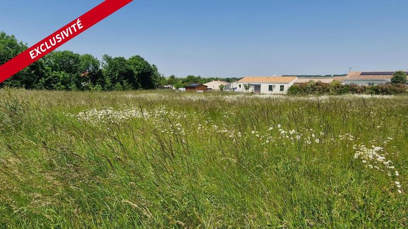Terrain constructible - 1 028 m²