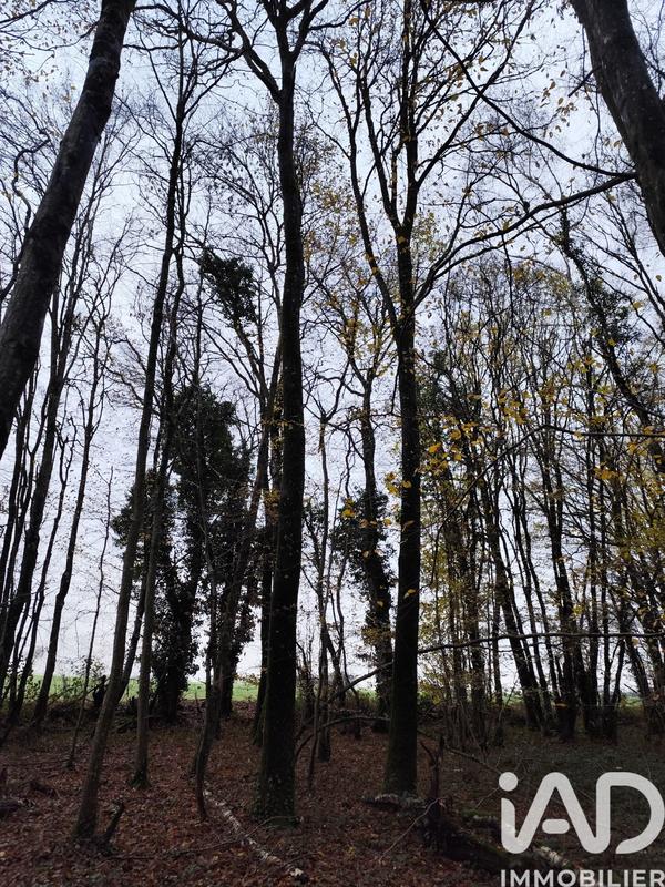 Terrain - 29 105 m²