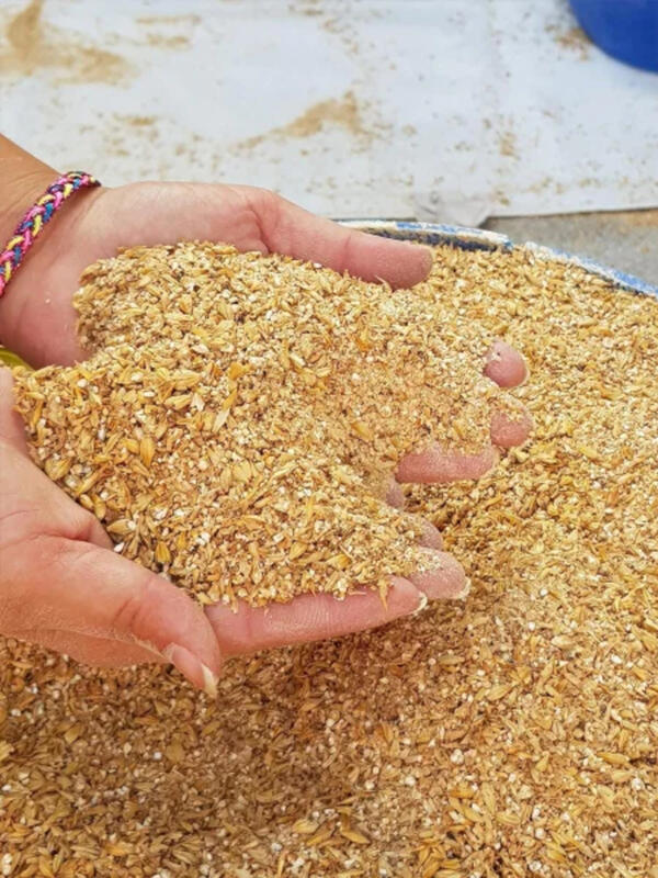 Visite guidée de la Brasserie du Pays Welche