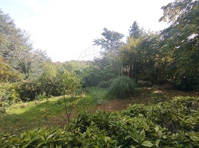 Terrain - 1 600 m²