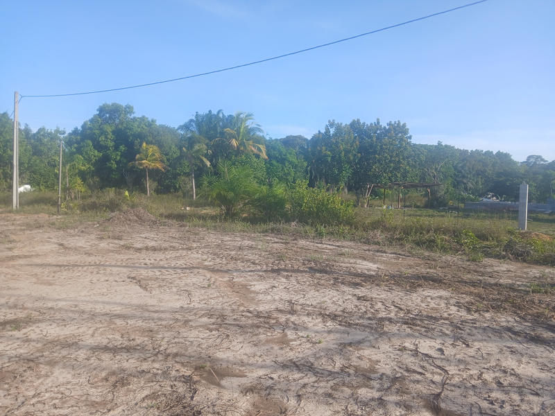 Terrain agricole - 10 004 m²