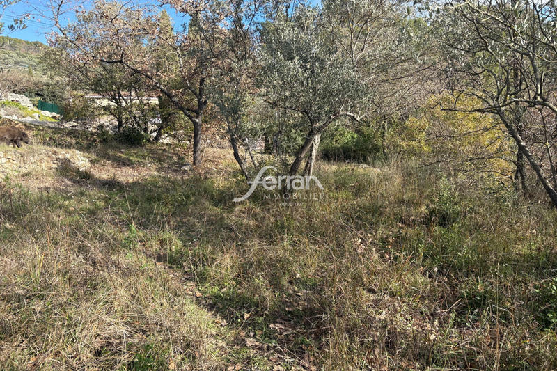 Terrain - 1 411 m²