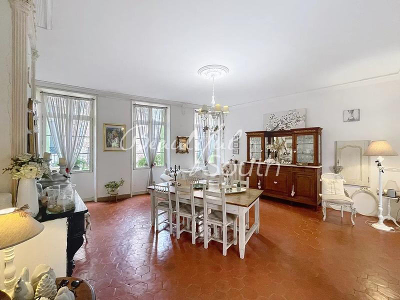 Hôtel particulier - 360 m² - 11 pièces