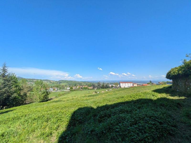 Studio - 52 m² - 1 pièce