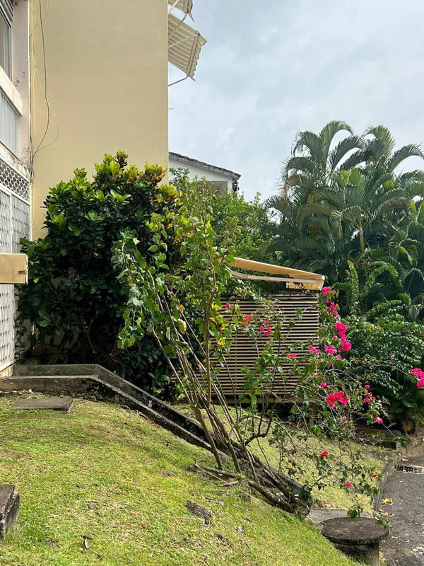 Appartement - 35 m² - 1 pièce