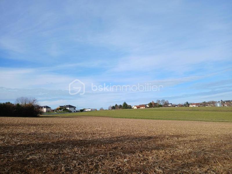 Terrain - 7 151 m²