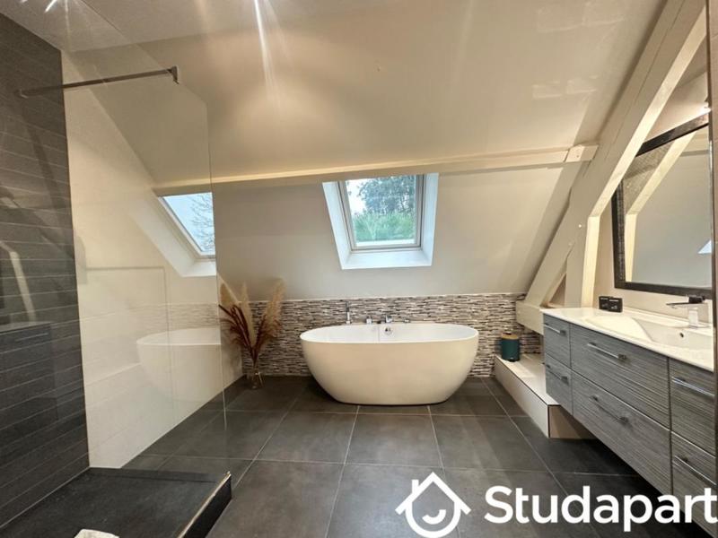 Chambre - 50 m² - 1 pièce