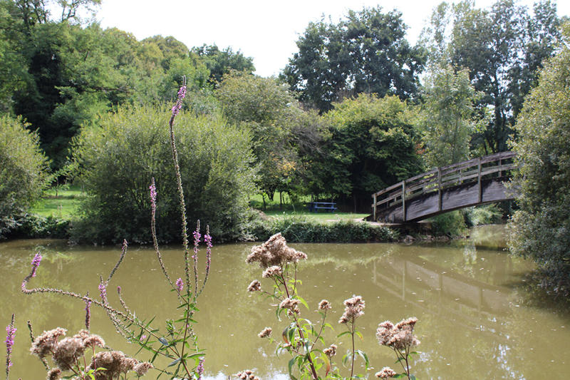 Maison - 322 m² - 11 pièces