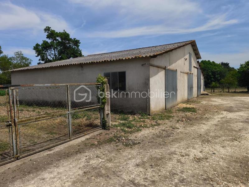 Maison - 315 m² - 3 pièces