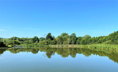 Terrain - 20 000 m²