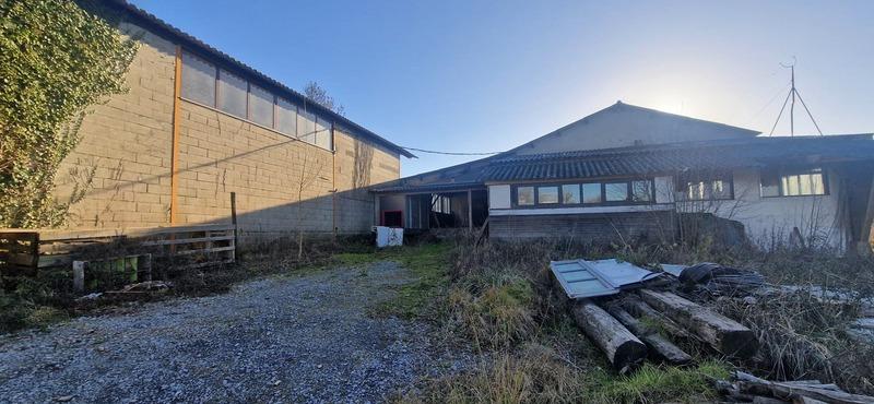 Bureau - 565 m² - 5 pièces