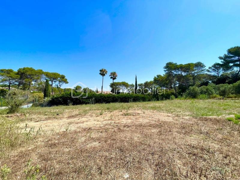 Terrain - 4 270 m²