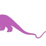 Dino'clic Informatique