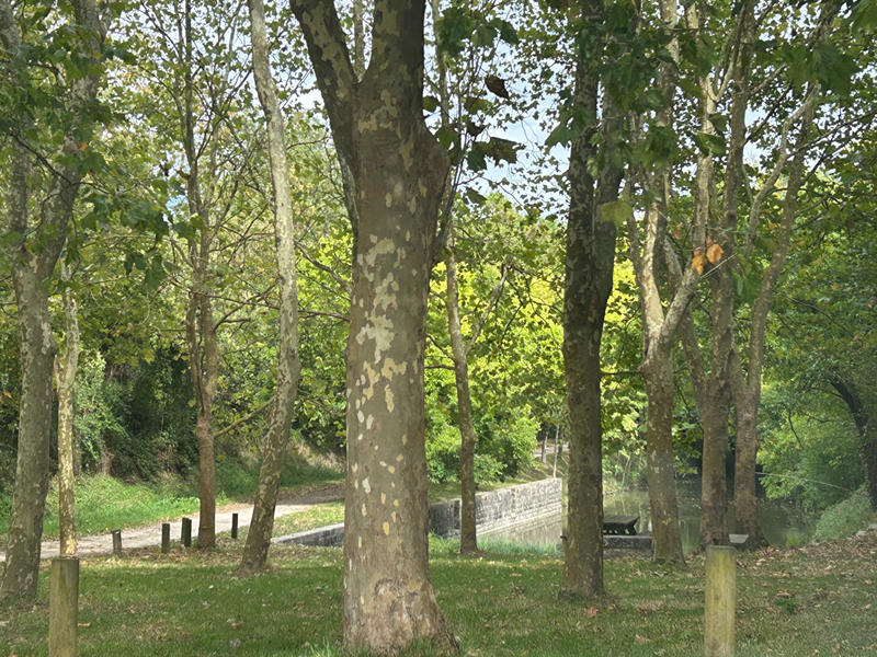 Maison - 89 m² - 5 pièces