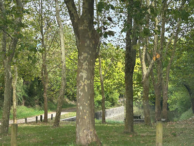 Maison - 89 m² - 5 pièces