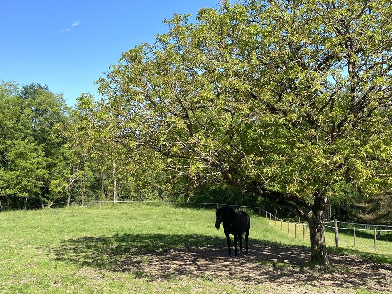 Propriété - 390 m² - 12 pièces