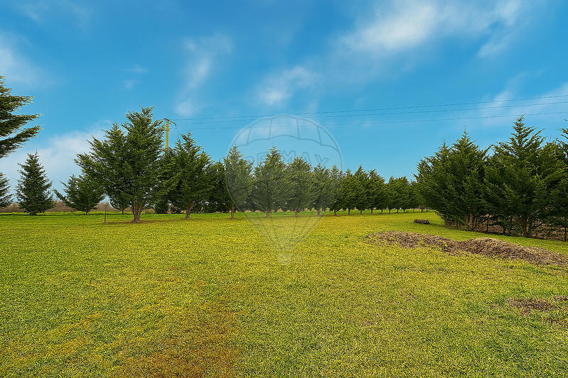 Maison - 239 m² - 5 pièces